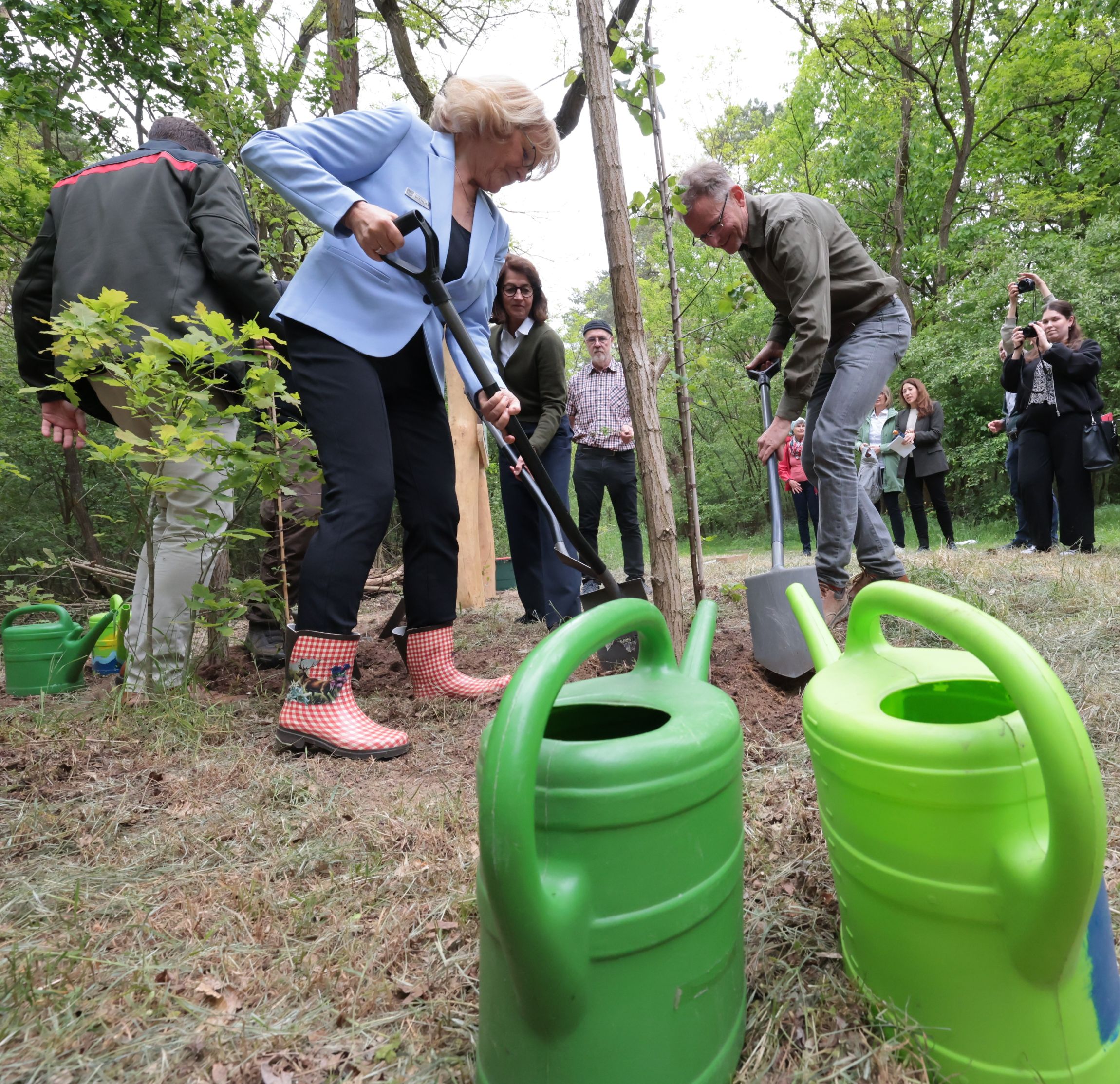 Pionierprojekt für Brandenburgs Wälder: Startschuss für den „Diedersdorfer Dauerwald“ Pionierprojekt für Brandenburgs Wälder: Startschuss für den „Diedersdorfer Dauerwald“